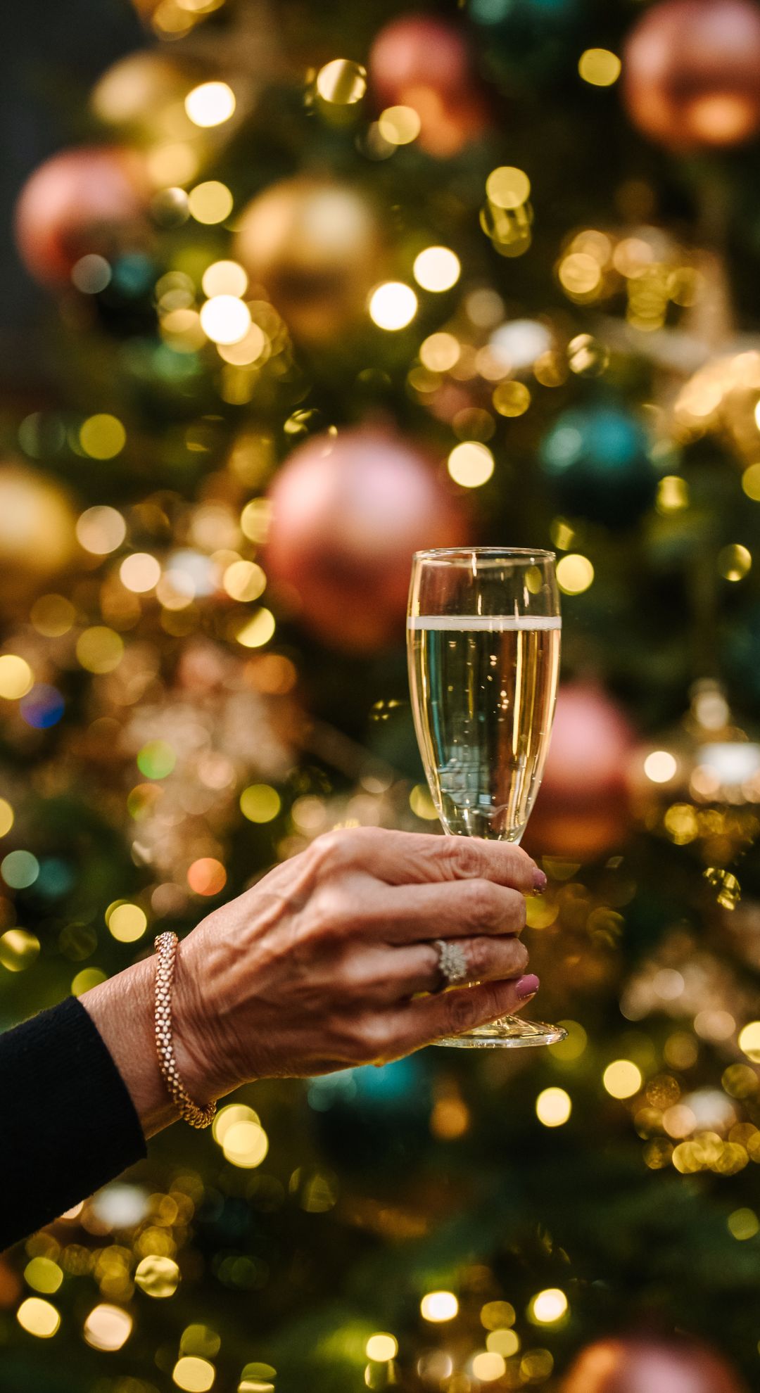 Norton Grange Festive Extravaganza